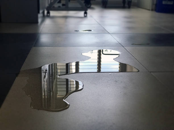 Best 24/7 water damage repair  in Egypt, AL