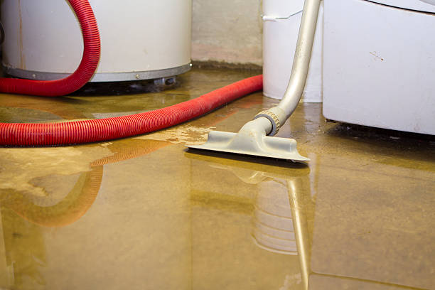 Best Carpet water damage restoration  in Egypt, AL