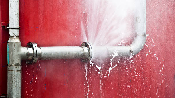 Best Water damage restoration near me  in Egypt, AL